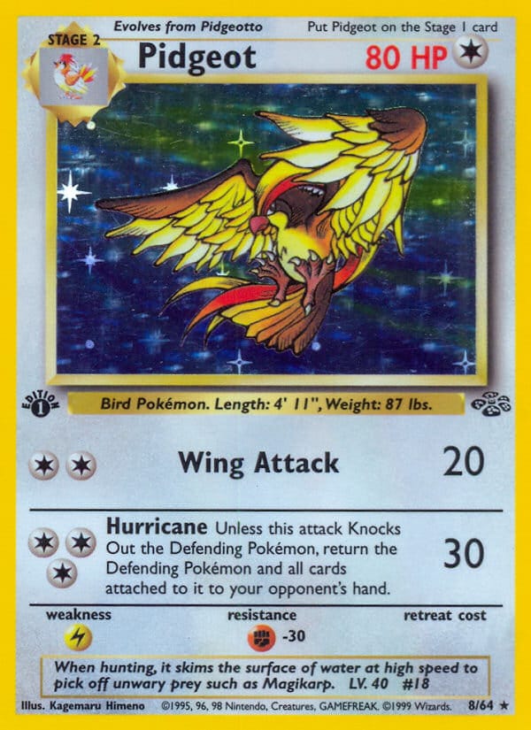 Pidgeot · Jungle · カード番号8 · 英語 · holo · standard